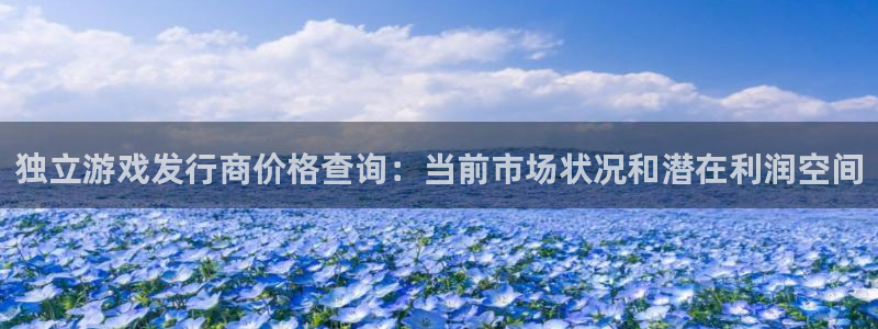 bg大游电子商务有限公司怎么样：独立游戏发行商价格查询：当前市场状况和潜在利润空间
