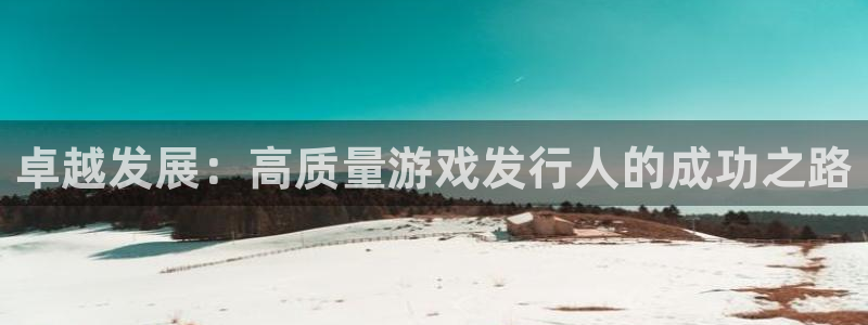 bg大游品牌：卓越发展：高质量游戏发行人的成功之路