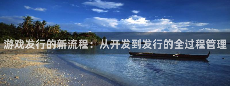 bg大游涂料怎么样：游戏发行的新流程：从开发到发行的全过程管理