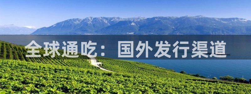bg大游军团是哪个国家队：全球通吃：国外发行渠道