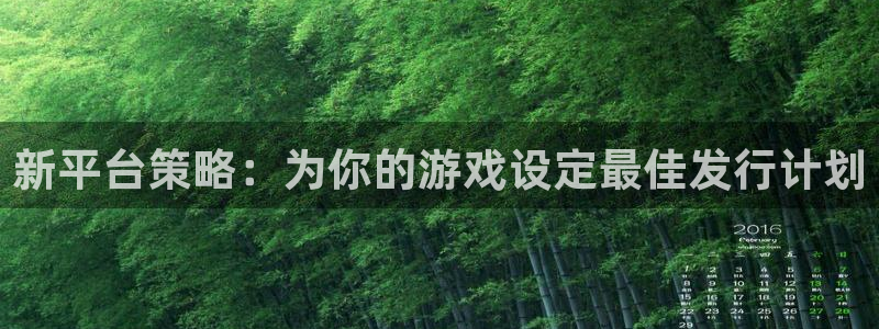 bg大游官网注册方法是什么软件：新平台策略：为你的游戏设定最佳发行计划