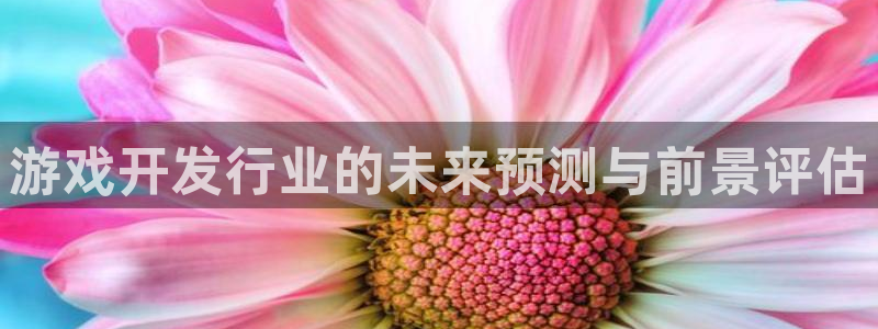 法国bg大游官网