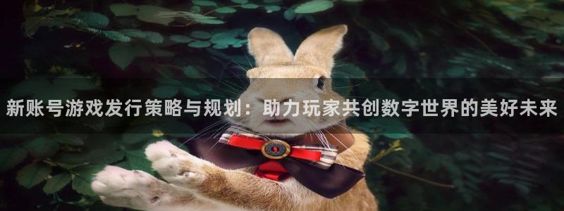 bg大游官网注册平台：新账号游戏发行策略与规划：助力玩家共创数字世界的美好未来