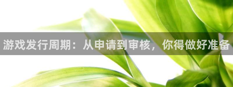 法国bg大游：游戏发行周期：从申请到审核，你得做好准备