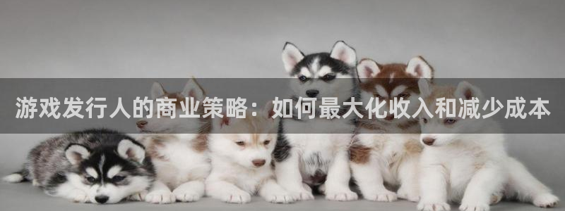 bg大游子酒业