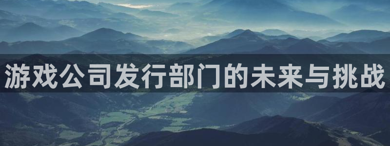 bg大游官网登录注册不了怎么回事：游戏公司发行部门的未来与挑战
