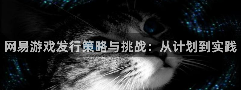 法国bg大游lvnces是奢侈品吗：网易游戏发行策略与挑战：从计划到实践