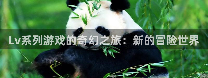 bg大游官网挂机项目怎么样啊：Lv系列游戏的奇幻之旅：新的冒险世界