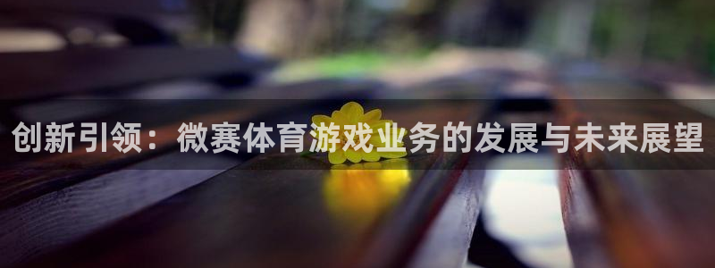 bg大游官网注册登录不了：创新引领：微赛体育游戏业务的发展与未来展望