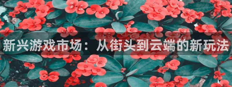 广州bg大游足球俱乐部：新兴游戏市场：从街头到云端的新玩法