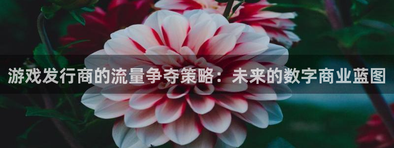 bg大游官网分分彩：游戏发行商的流量争夺策略：未来的数字商业蓝图