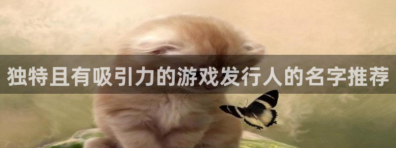 bg大游官网注册平台怎么注册的：独特且有吸引力的游戏发行人的名字推荐
