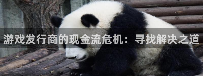 lvncesbg大游衣服价格