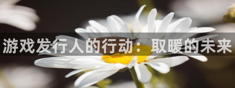 陕西bg大游子文化公司加我qq：游戏发行人的行动：取暖的未来