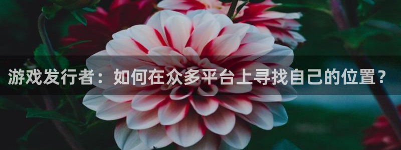 bg大游电子科技怎么样：游戏发行者：如何在众多平台上寻找自己的位置？
