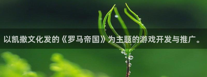 江苏bg大游人力资源有限公司怎么样