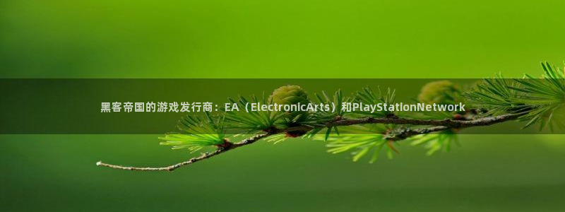 bg大游官网注册登录：黑客帝国的游戏发行商：EA（ElectronicArts）和PlayStationNetwork