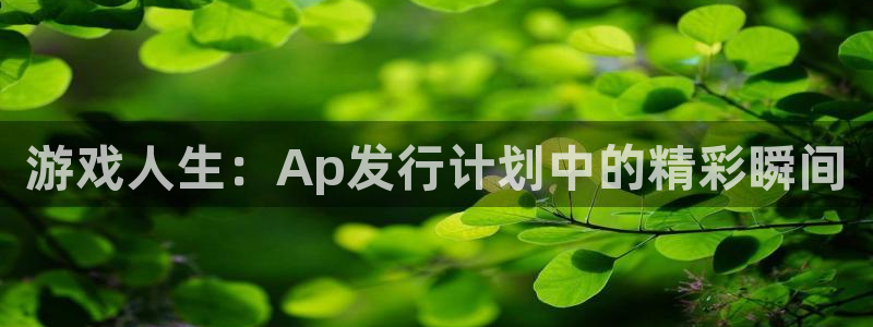 bg大游官网游戏平台介绍：游戏人生：Ap发行计划中的精彩瞬间