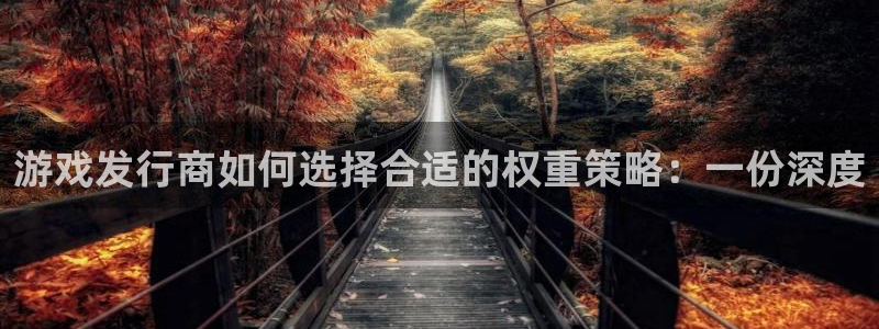bg大游lvnces是什么档次：游戏发行商如何选择合适的权重策略：一份深度