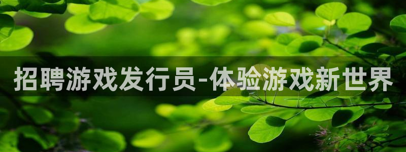 bg大游官网登录注册不了：招聘游戏发行员-体验游戏新世界