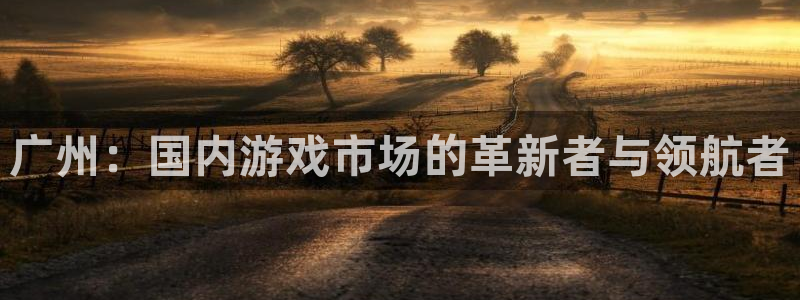 bg大游子教育科技(江门)有限公司：广州：国内游戏市场的革新者与领航者