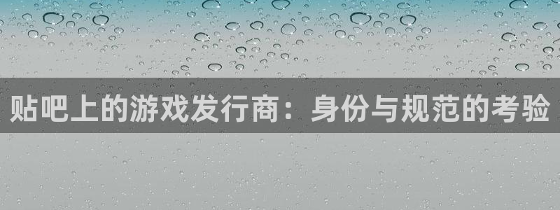 广东bg大游电子科技有限公司：贴吧上的游戏发行商：身份与规范的考验
