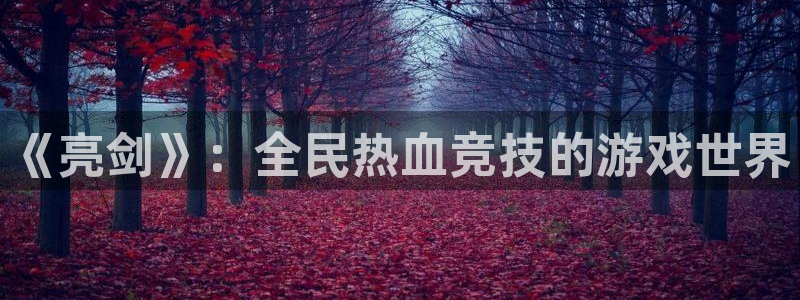 bg大游集团有限公司